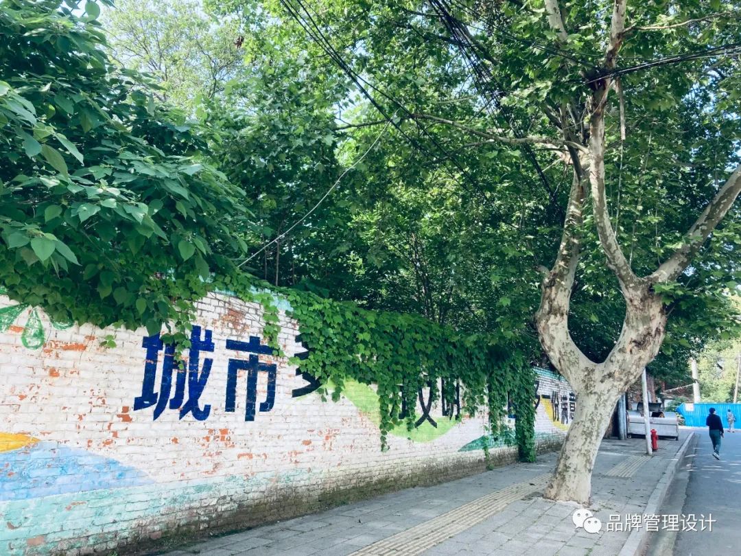 1683612945175136.jpg w3.jpg