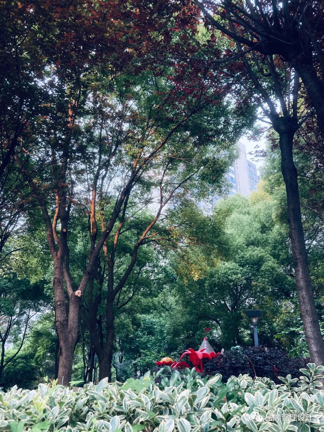 1685429899653741.jpg q1.jpg